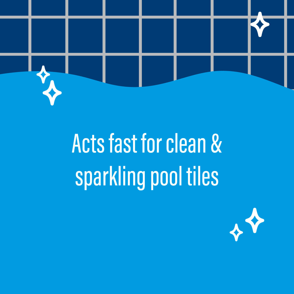 Poolife tile cleaner RX